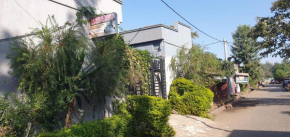 Haribuguset House